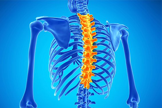 How To Treat Thoracic Spinal Pain
